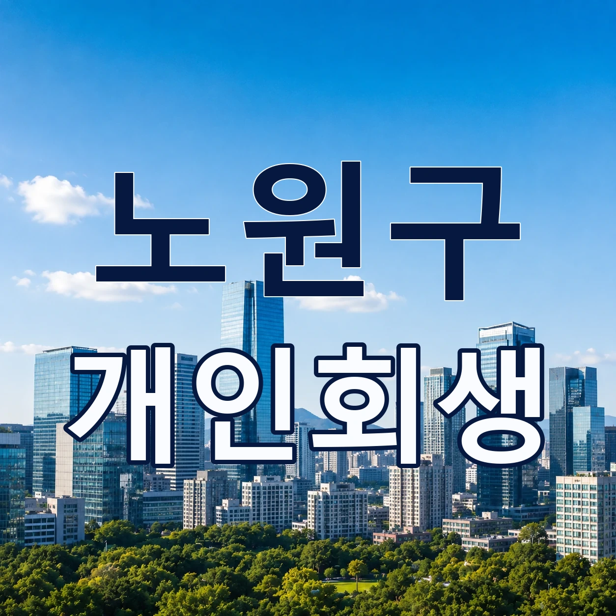 노원구 개인회생