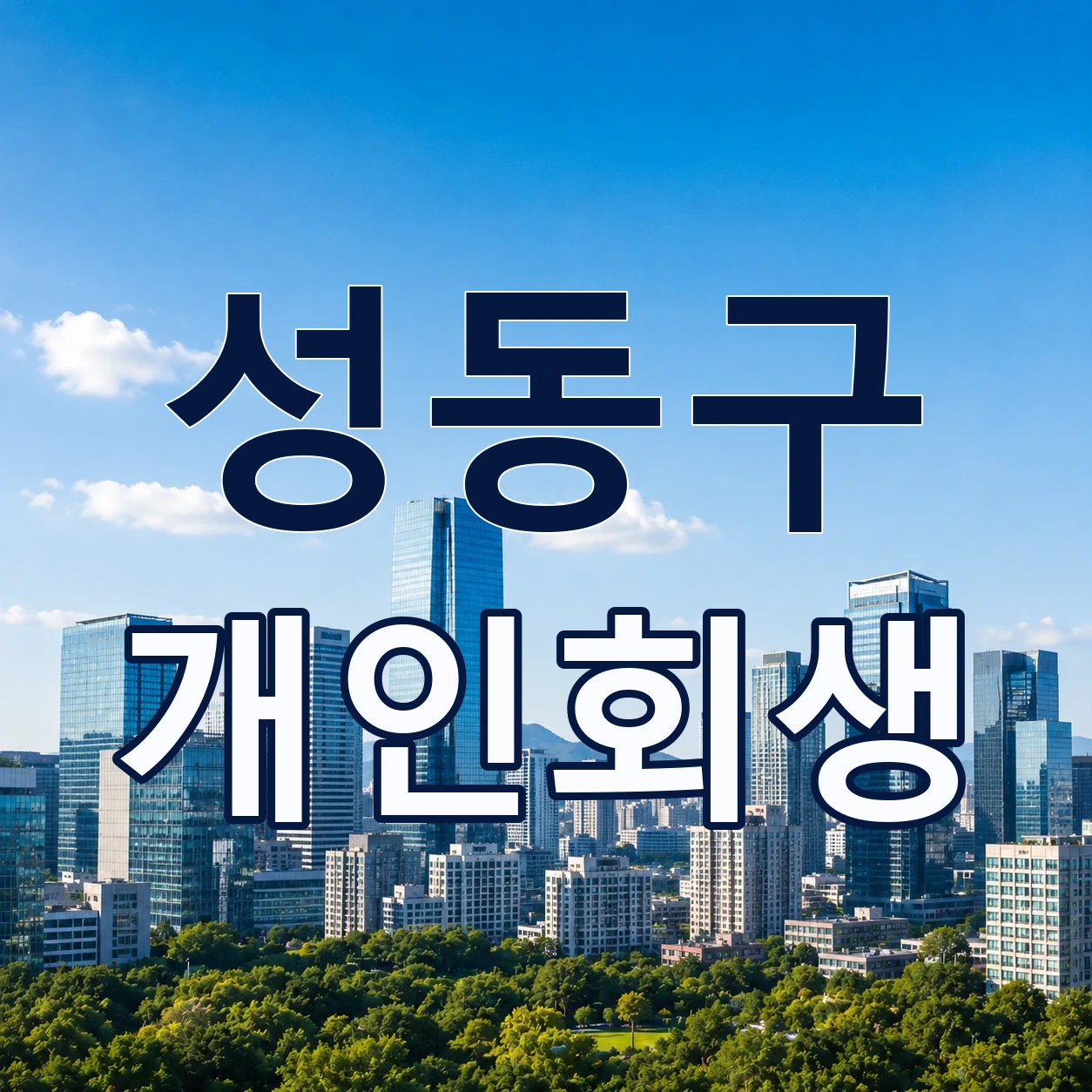 성동구 개인회생